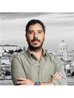 Ricardo Matos - Collection Siimgroup