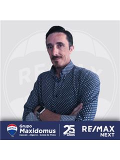 Ricardo Gomes - Next