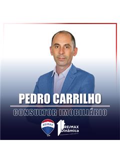 Pedro Carrilho - Dinâmica