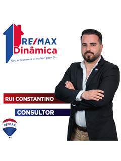 Rui Constantino - Dinâmica