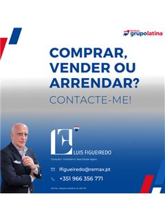 Owner - Luís Figueiredo - Latina II