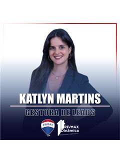 Owner - Katlyn Martins - Dinâmica