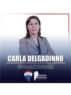 Carla Delgadinho - Dinâmica Daire