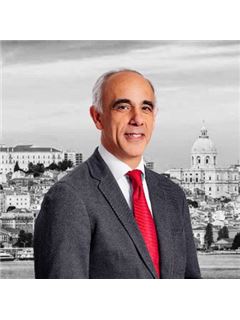 Broker/Owner - António Nunes - Collection Siimgroup