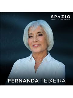 Owner - Fernanda Teixeira - Spazio