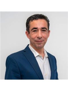 Carlos Macheira - Mercado