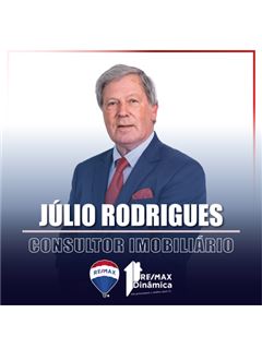 Julio Rodrigues - Dinâmica