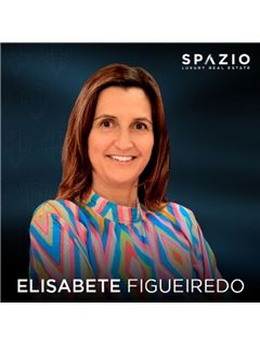 Elisabete Figueiredo - Spazio