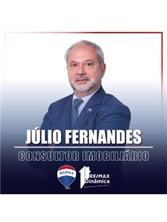 Júlio Fernandes - Dinâmica