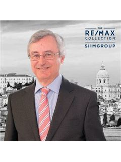 José Ferreira - Collection Siimgroup