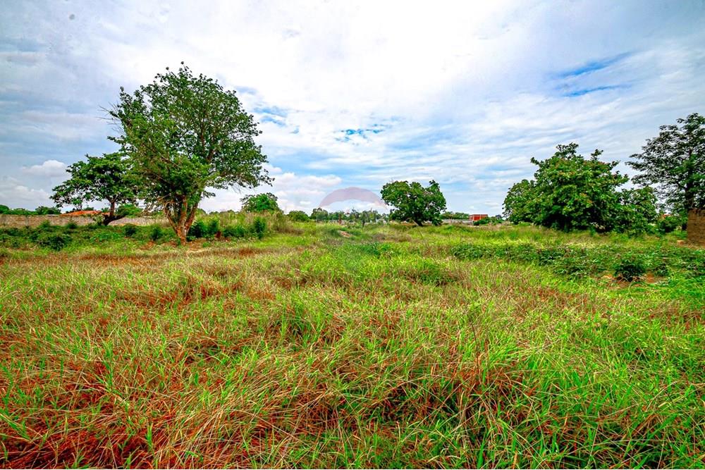 Commercio - Investimento - Viana, Angola - AO - DSC_5214.jpg - 126100095-80