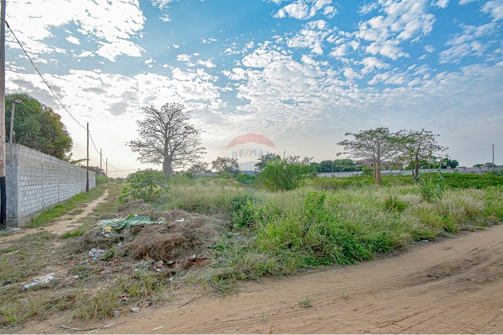 Commercieel - Grond - Cacuaco, Angola - AO - DSC_2142.jpg - 126100156-6