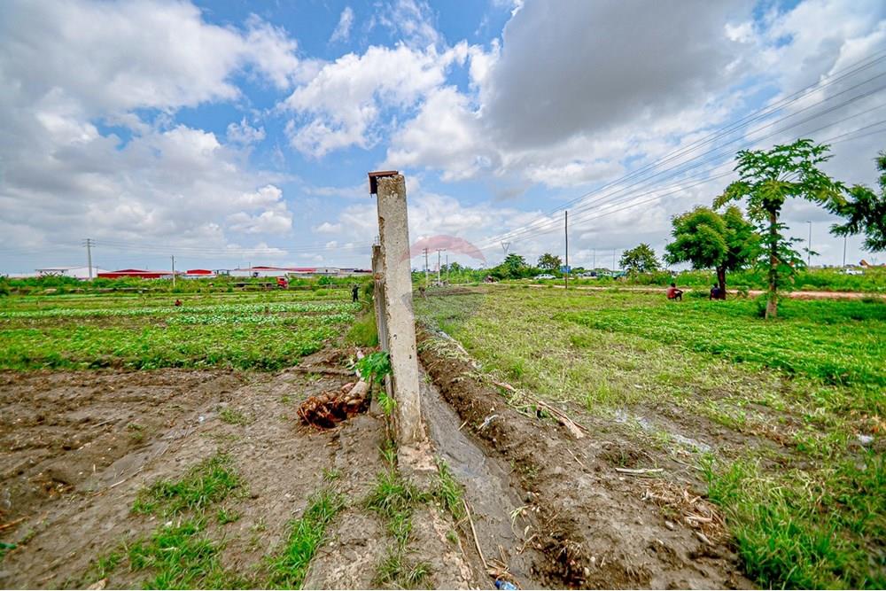 Commercieel - Grond - Cacuaco, Angola - AO - DSC_3260.jpg - 126100018-267