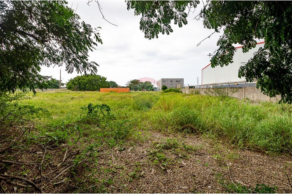 Commercial - Land - Talatona, Angola - AO - DSC_0238.jpg - 126100110-58