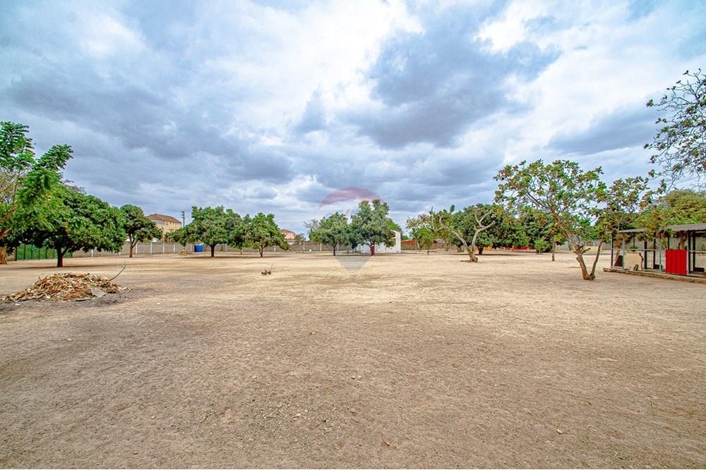 Commercieel - Investering - Viana, Angola - AO - DSC_8941.jpg - 126100181-5