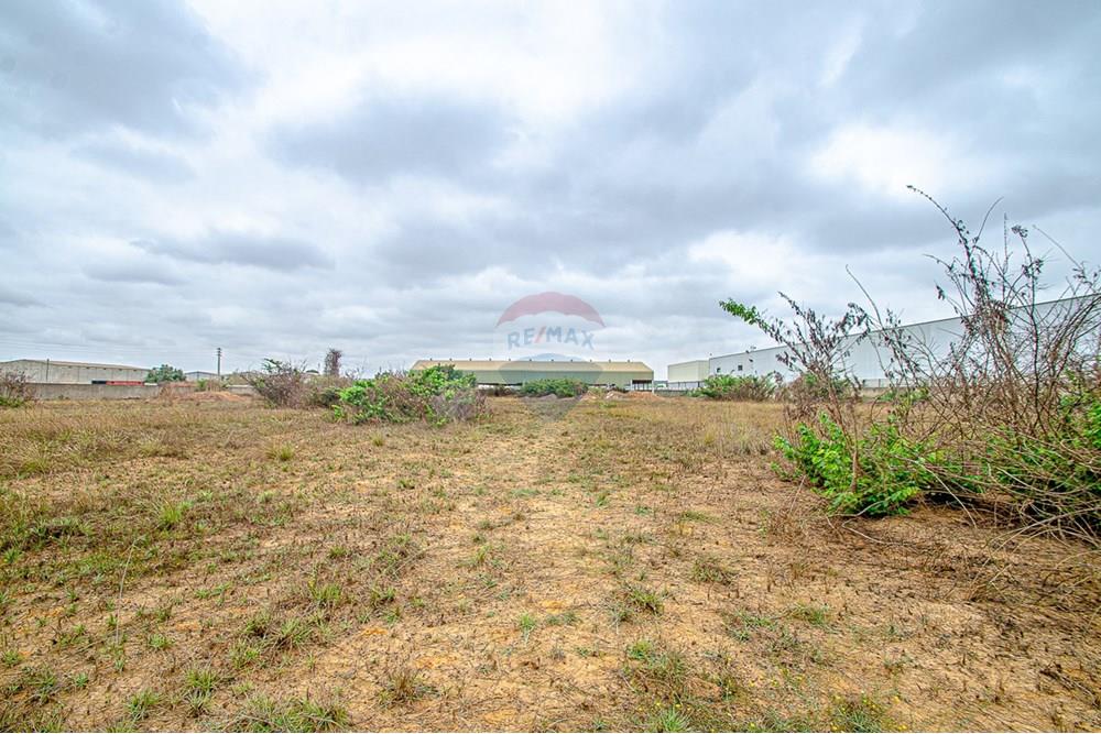 Comercial - Inversión - Viana, Angola - AO - DSC_7749.jpg - 126100097-55