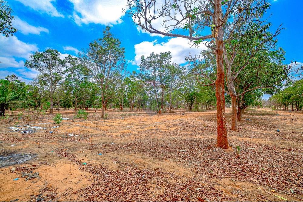 Commercieel - Investering - Viana, Angola - AO - DSC_9427.jpg - 126100185-9