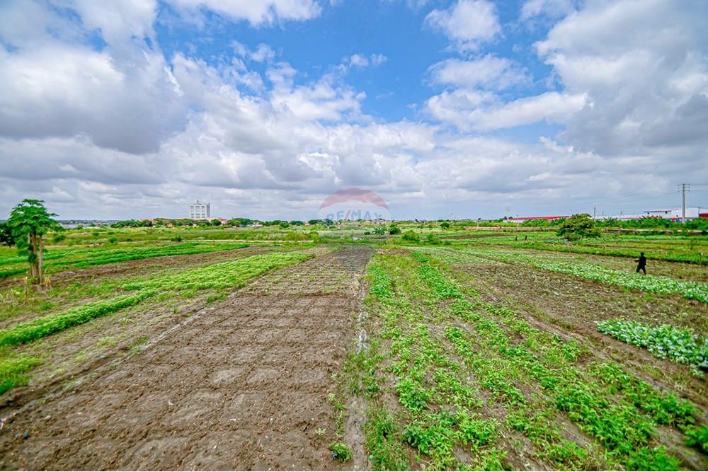 Commercieel - Grond - Cacuaco, Angola - AO - DSC_3264.jpg - 126100018-267