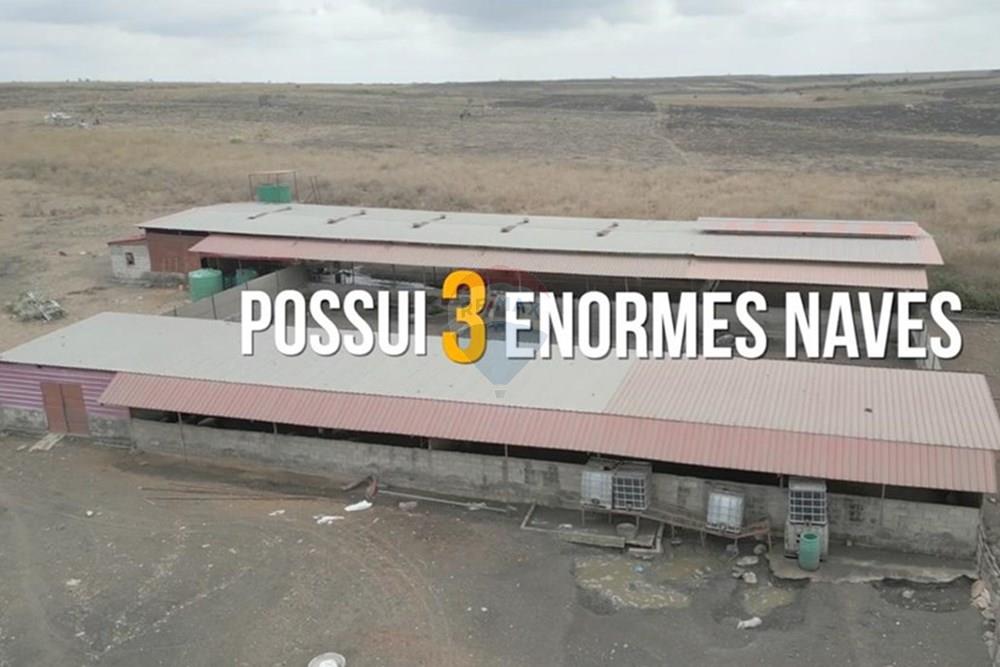 Commercieel - Investering - Bengo, Angola - AO - 4b519cf2-b6e7-4398-b46e-c92e042e8898.jpeg - 126100187-6