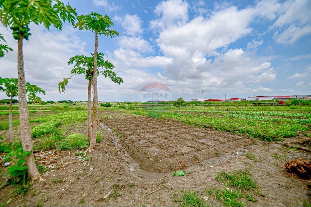 Commercieel - Grond - Cacuaco, Angola - AO - DSC_3261.jpg - 126100018-267