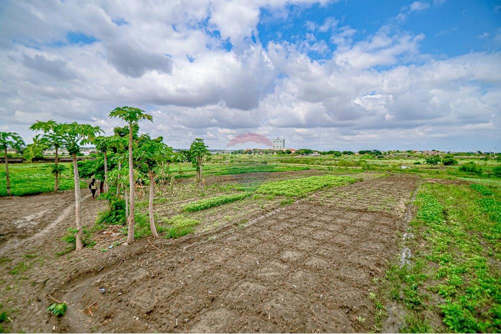 Commercieel - Grond - Cacuaco, Angola - AO - DSC_3267.jpg - 126100018-267