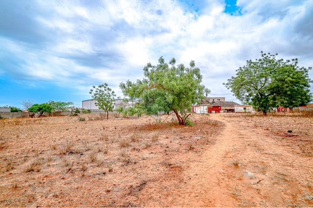 Comercial - Terreno - Benfica, Angola - AO - DSC_9039.jpg - 126100020-668