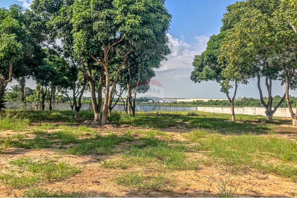 Commercial - Investment - Viana, Angola - AO - IMG_8603.jpg - 126100192-1