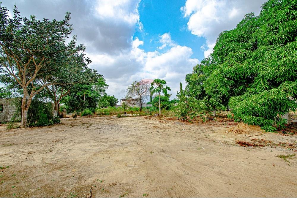 Commercial - Investment - Viana, Angola - AO - DSC_7958.jpg - 126100173-13