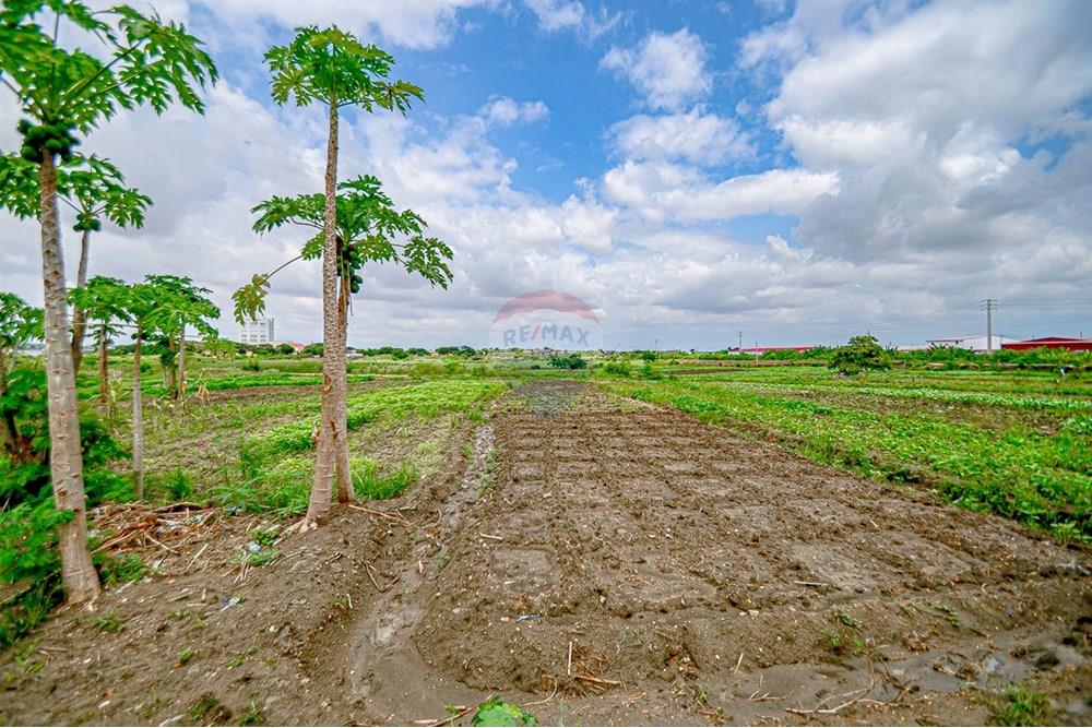 Commercieel - Grond - Cacuaco, Angola - AO - DSC_3262.jpg - 126100018-267