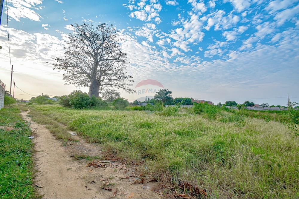 Commercieel - Grond - Cacuaco, Angola - AO - DSC_2147.jpg - 126100156-6
