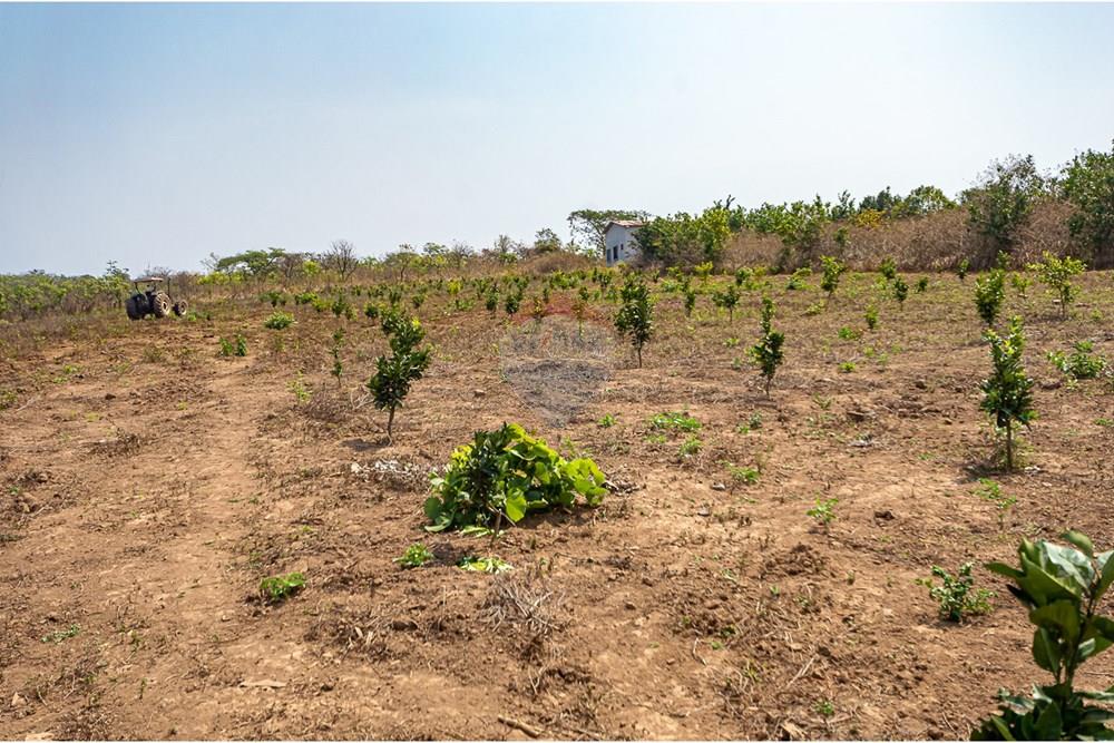 Comercial - Inversión - Cacuso, Angola - AO - DSC_9300.jpg - 126100134-21