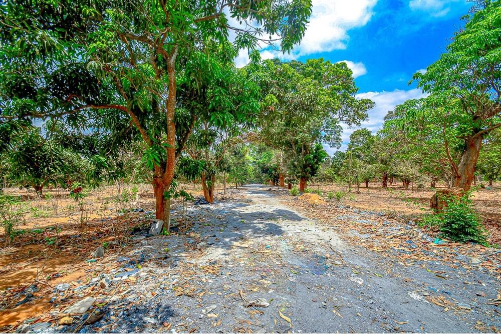 Commercieel - Investering - Viana, Angola - AO - DSC_9435.jpg - 126100185-9