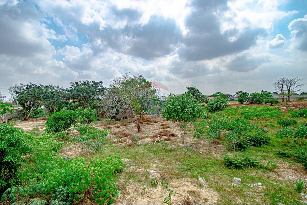 Commercial - Investment - Viana, Angola - AO - DSC_7931.jpg - 126100173-13