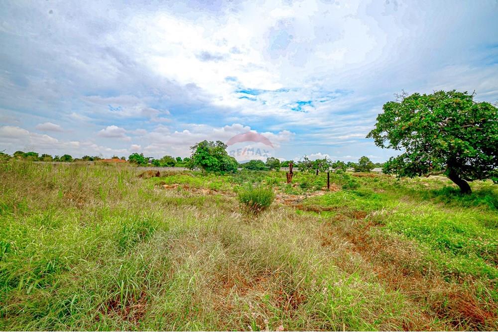 Commercio - Investimento - Viana, Angola - AO - DSC_5221.jpg - 126100095-80