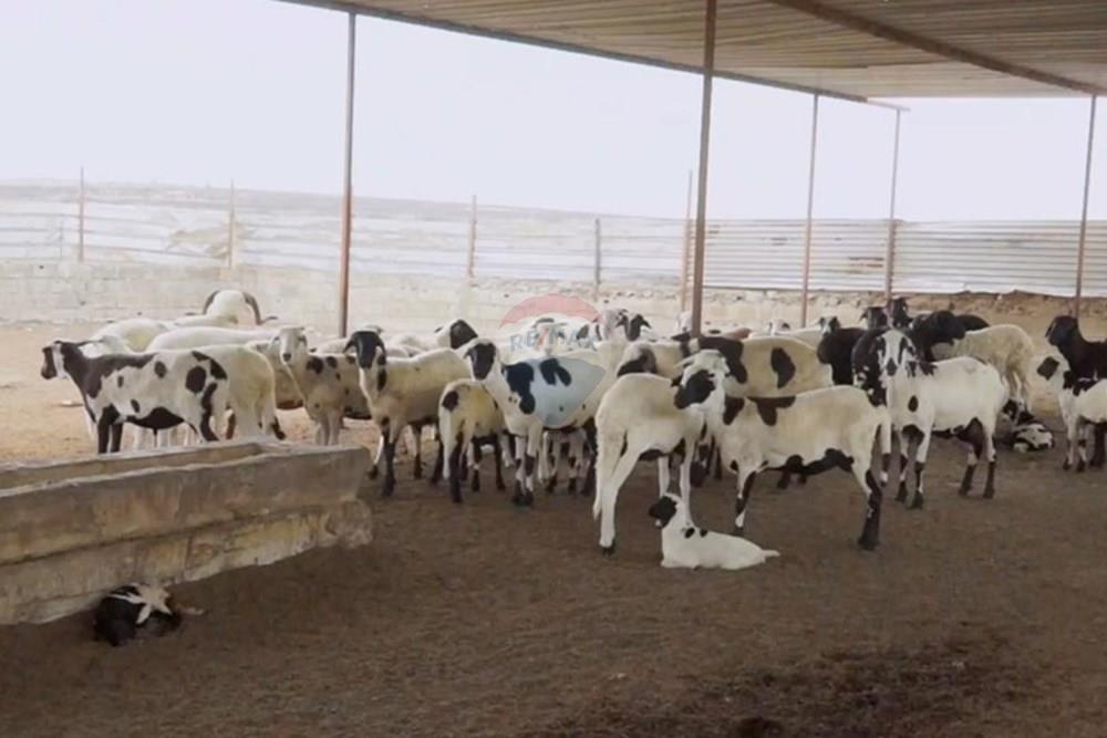 Commercieel - Investering - Bengo, Angola - AO - 3818eff1-398d-4a5b-8b2b-e5e5bd869f02.jpeg - 126100187-6