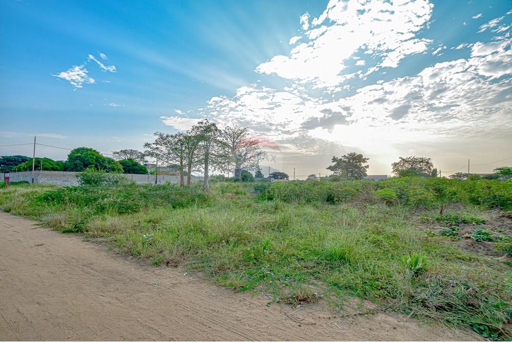 Commercieel - Grond - Cacuaco, Angola - AO - DSC_2139.jpg - 126100156-6