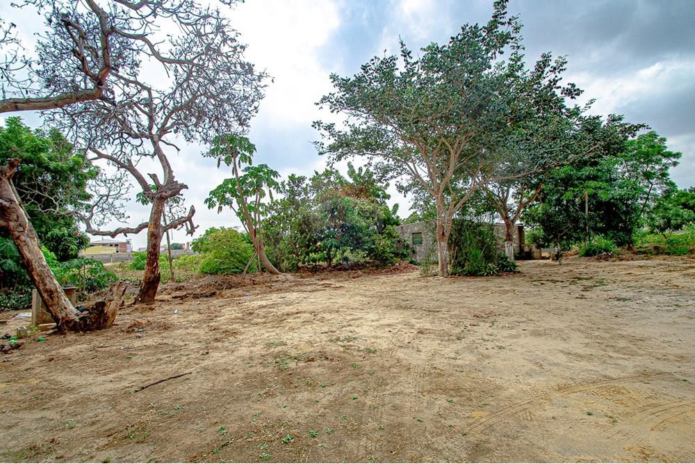 Commercial - Investment - Viana, Angola - AO - DSC_7957.jpg - 126100173-13