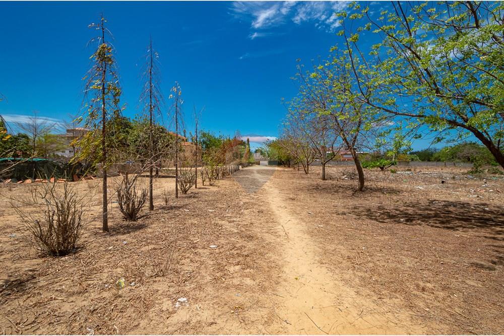 商业 - 投资 - Belas, 安哥拉 - AO - DSC_0006.jpg - 126100020-674