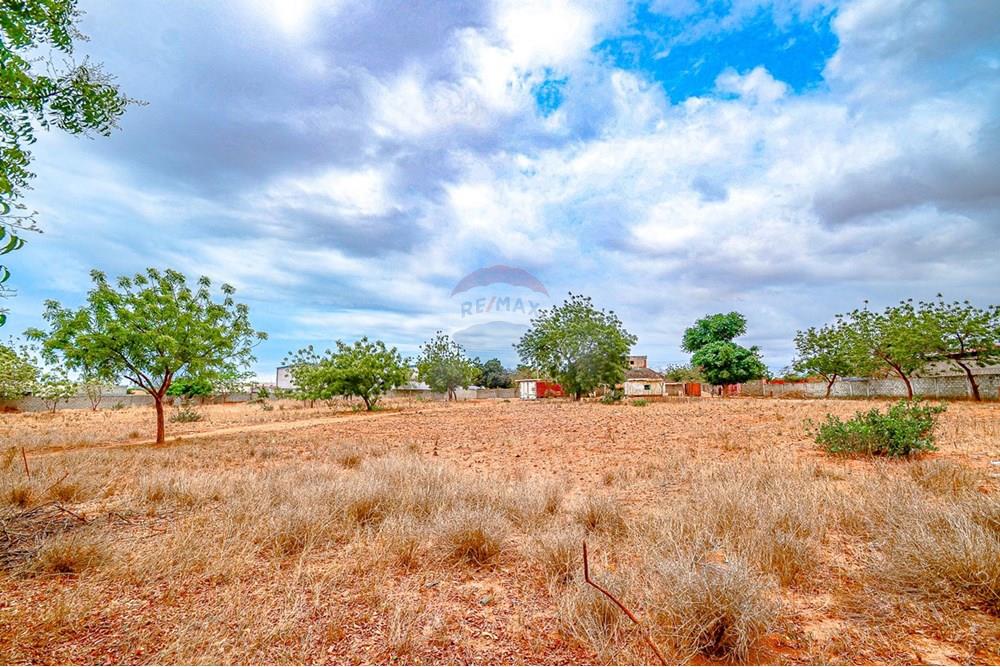 Comercial - Terreno - Benfica, Angola - AO - DSC_9031.jpg - 126100020-668