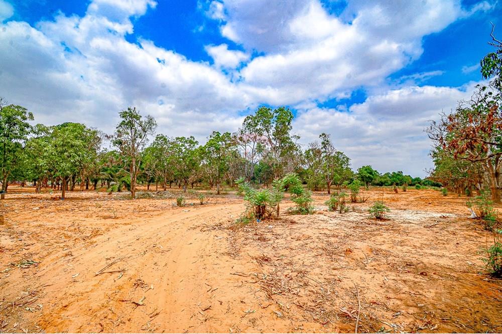 Commercieel - Investering - Viana, Angola - AO - DSC_9411.jpg - 126100185-9