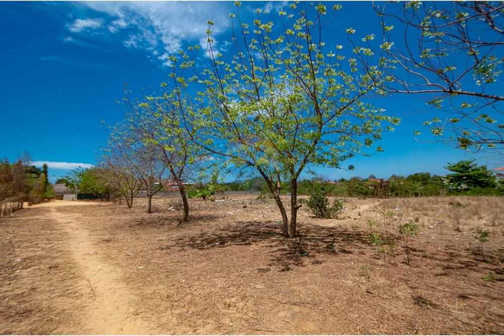 商业 - 投资 - Belas, 安哥拉 - AO - DSC_0007.jpg - 126100020-674