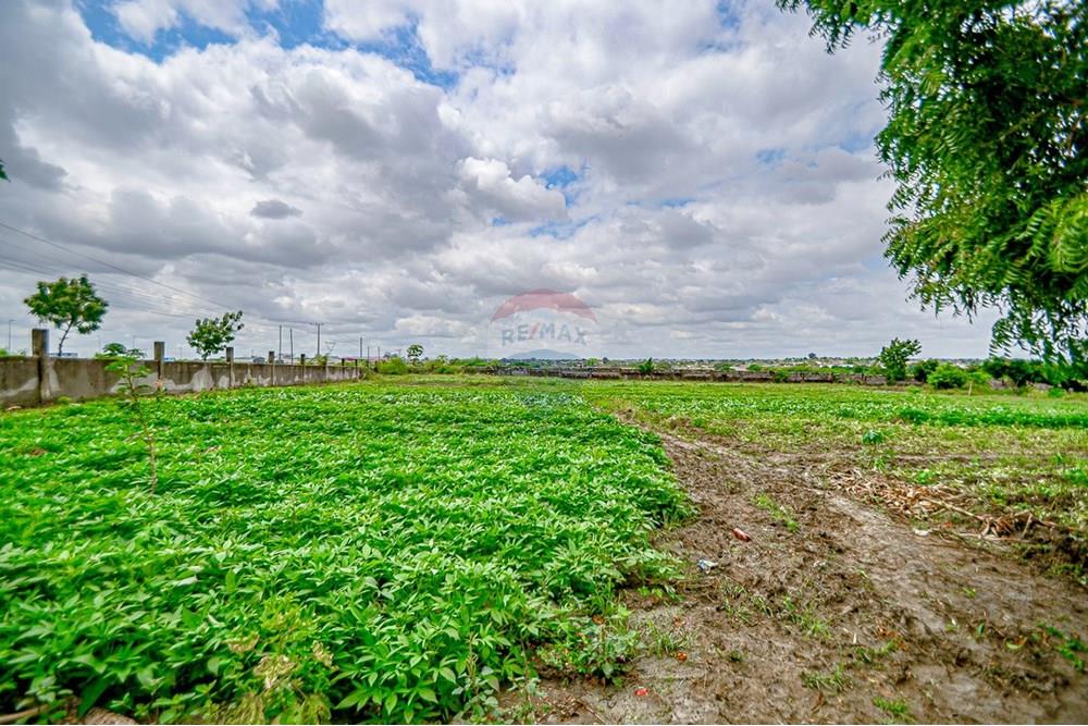 Commercieel - Grond - Cacuaco, Angola - AO - DSC_3256.jpg - 126100018-267