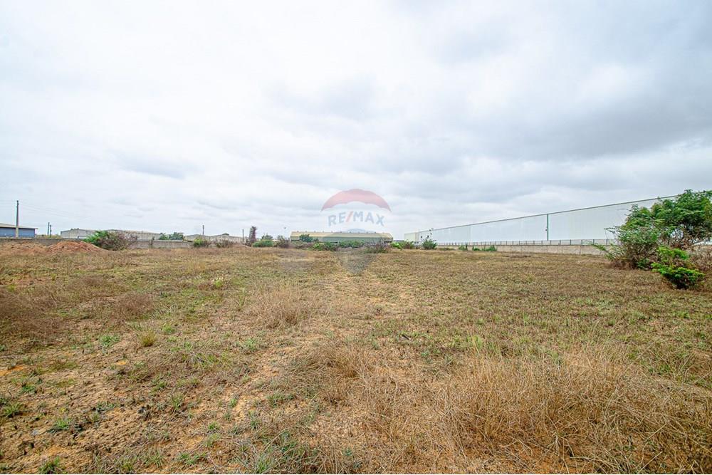Comercial - Inversión - Viana, Angola - AO - DSC_7721.jpg - 126100097-55