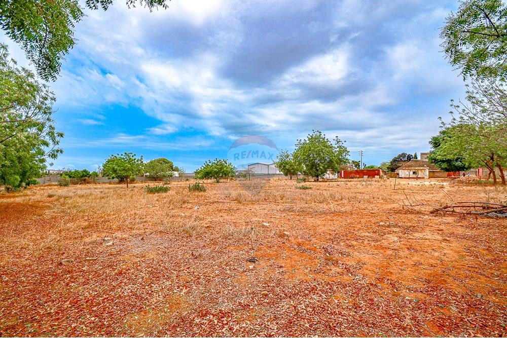 Comercial - Terreno - Benfica, Angola - AO - DSC_9029.jpg - 126100020-668