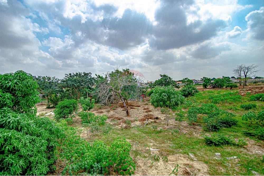 Commercial - Investment - Viana, Angola - AO - DSC_7927.jpg - 126100173-13