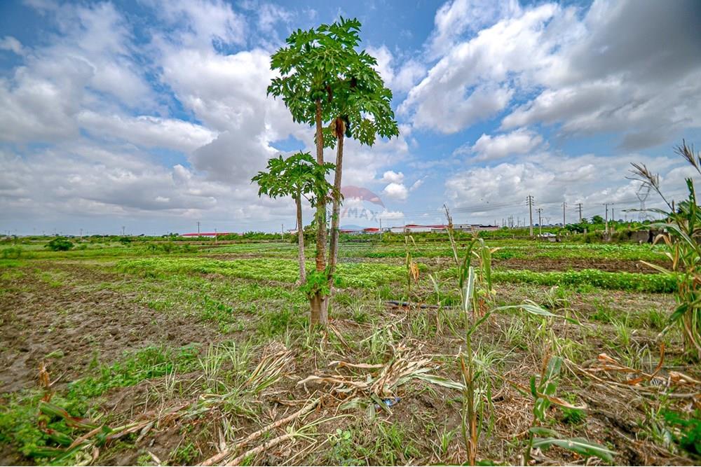 Commercieel - Grond - Cacuaco, Angola - AO - DSC_3253.jpg - 126100018-267