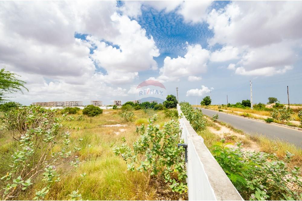 Commercio - Investimento - Camama, Angola - AO - DSC_0040.jpg - 126100132-23