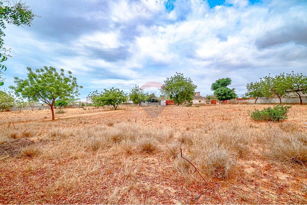 Comercial - Terreno - Benfica, Angola - AO - DSC_9032.jpg - 126100020-668