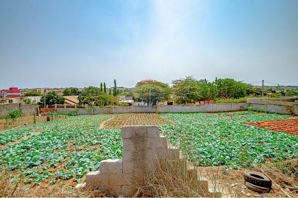 Commercial - Land - Kilamba Kiaxi, Angola - AO - DSC_3766.jpg - 126100156-9