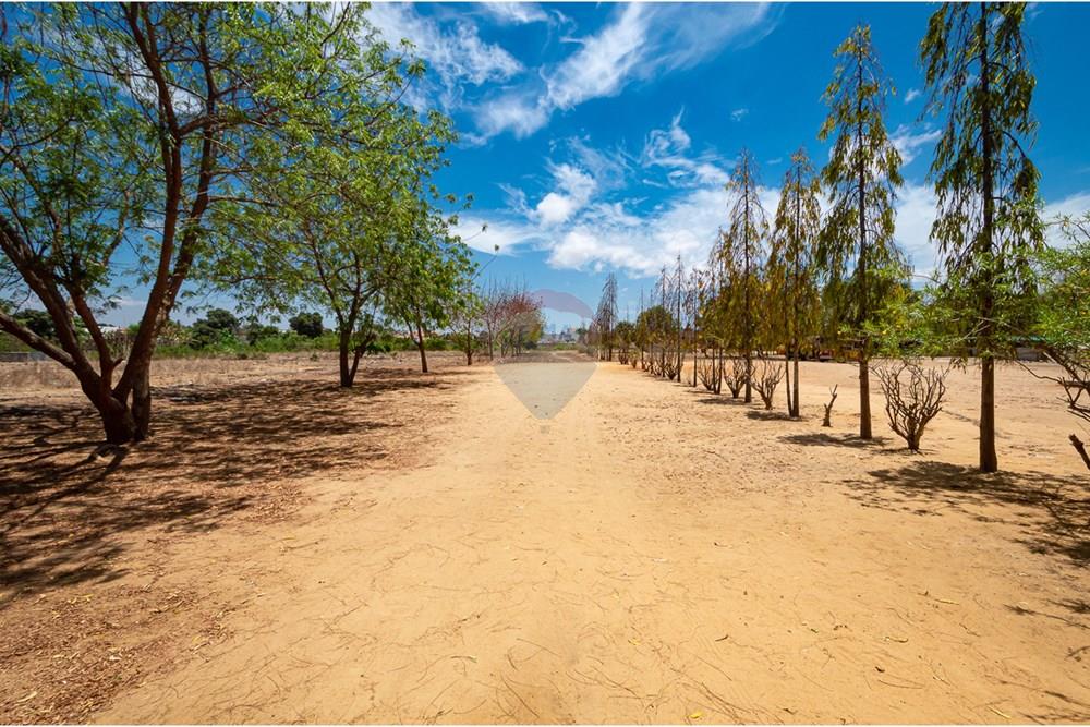 商业 - 投资 - Belas, 安哥拉 - AO - DSC_0003.jpg - 126100020-674